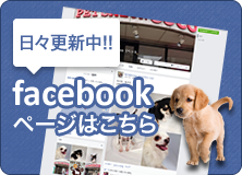 facebookページはこちら